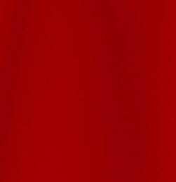 PRIMARY RED