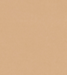 SAFARI CANVAS