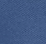 BLUE INDIGO