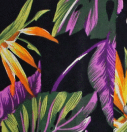 PURPLE LEAF