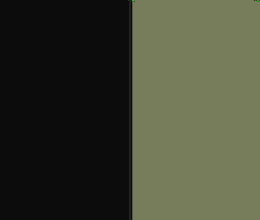 BLACK P-GREEN S