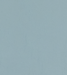 SLATE BLUE