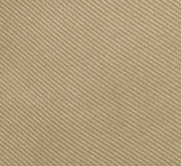 PALE CAMEL