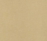 RELIC TAN